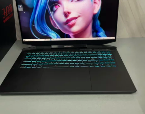 机械革命 蛟龙7 R9 5900HX RT...
