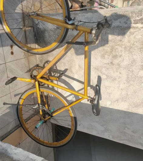 死飞  活飞 两用自行车  刚换了两条实心...
