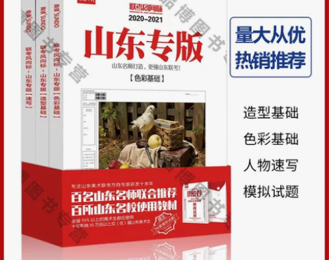 联考风向标山东专版(三科)色彩基础造型基础...