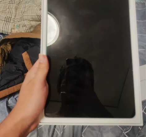 小米平板5 内存256运行内存6g买了几天...