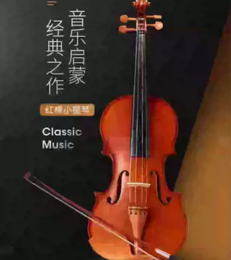 红棉小提琴手工小提琴成人演奏级[灯泡][闪...