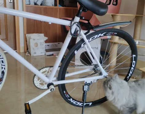 死飞 只骑过三四次  几乎全新 感兴趣的话...