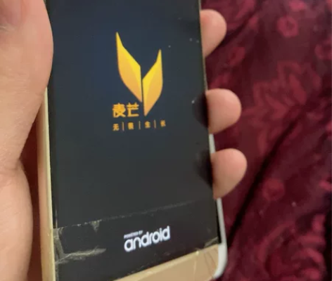 华为麦芒5 4g+64g看看吧,作个mp4...