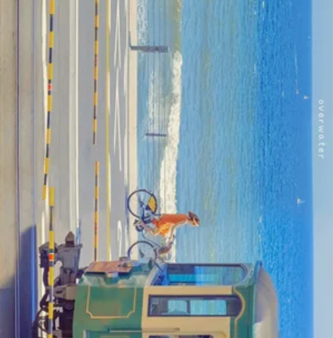 东南大学 中国语言文学考研 941+739...