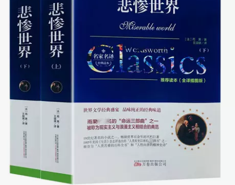 悲惨世界书正版雨果上下2本世界十大经典文学...