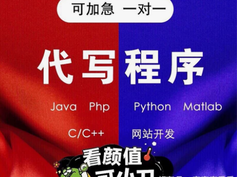 代做程序 C语言/C++/Java/Pyt...