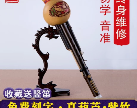 葫芦丝c调降b调乐器初学者入门零基础儿童小...