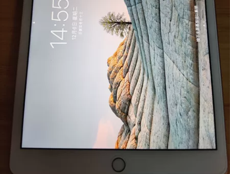 ipad 2020 一手自用 今年1月购于...