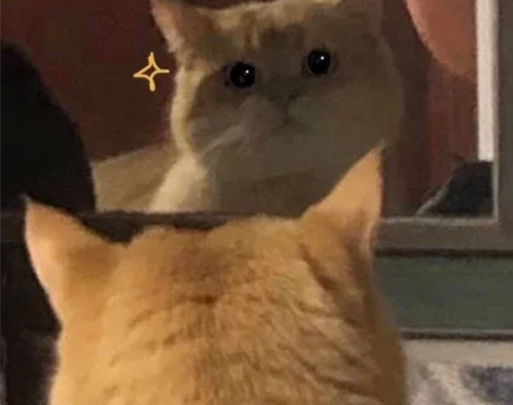 私人途径[闪亮][闪亮][闪亮]不接受机构...