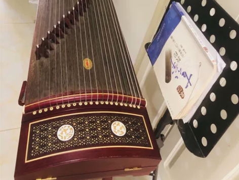 入门古筝，乐谱架、书、古筝凳、替换弦、调音...