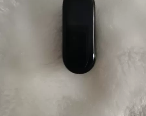 小米手环5，无NFC功能版，公司礼品，仅试...