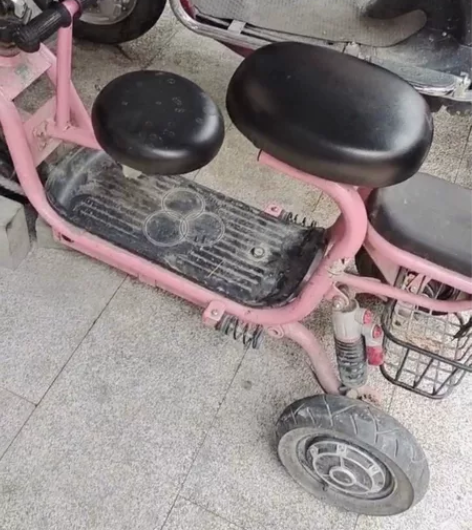 飞鸽电瓶车,闲置出让,正常运作,挡泥板掉了...