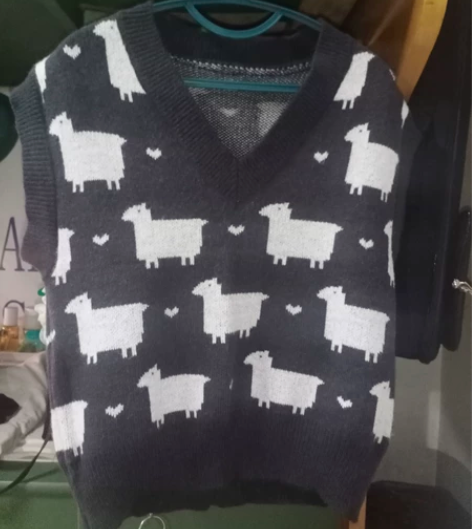 针织背心穿过一次 无毛球，很新很新 感兴趣...