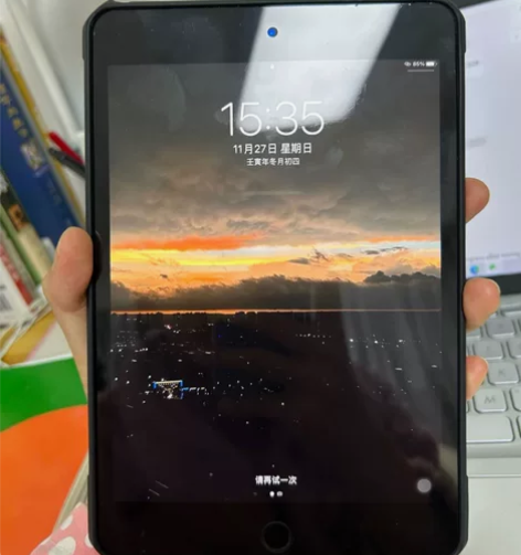 自用一台纯原机ipad mini5 201...