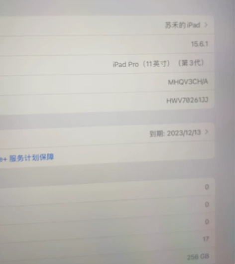 ipad21pro256g12月13日激活...