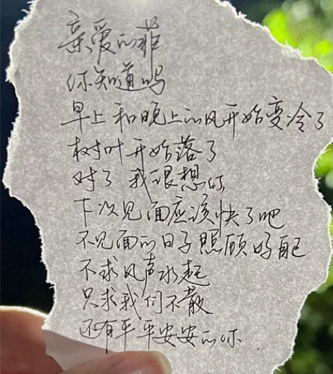 撕边手写信   背景自选（p1 p2 p3...