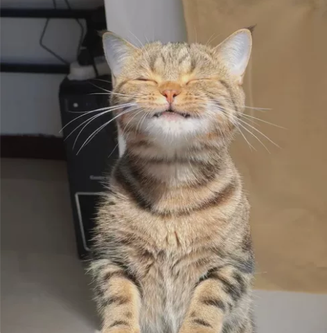 axure原型代画 代画、需求分析、需求优...