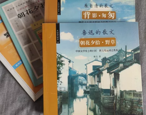 鲁迅 朱自清 徐志摩作品集 朝花夕拾 野草...