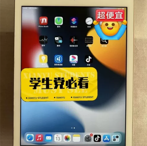 本人急售爽快的来 !iPad2018款12...