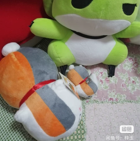 猫咪老师+一只金鱼草+旅行青蛙      ...