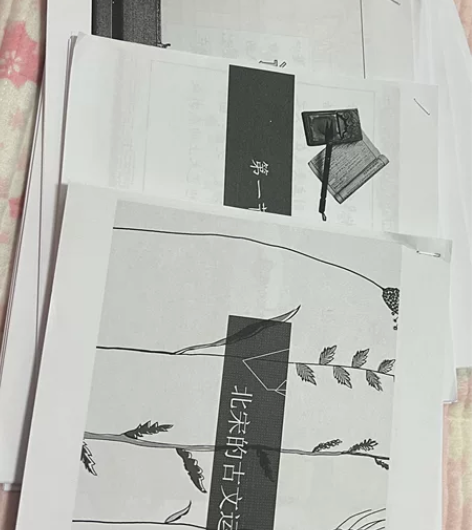 延边大学 新闻学 2年级 上 中国文学PP...