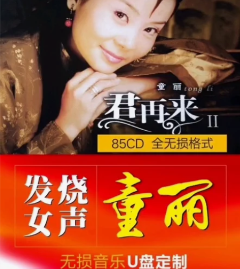 ＃童丽＃发烧女声 全85CD无损音乐优盘订...