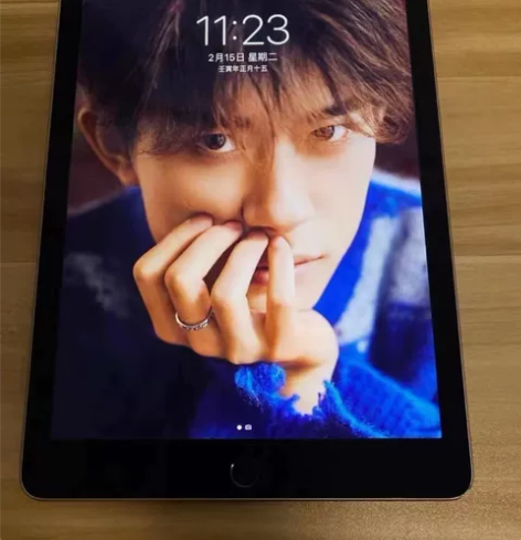 毕业着急出款mini4带笔一起出！考研、画...