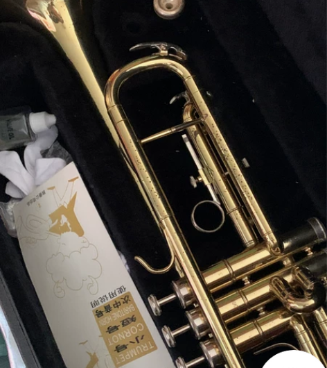 金甲虫 小号 感兴趣的话点“我想要”和我私...