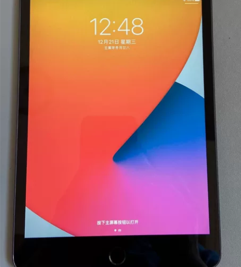 iPad 苹果平板电脑 iPadmini5...