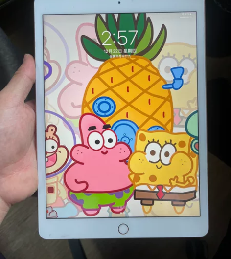 金色ipad2020款128g第八代10....