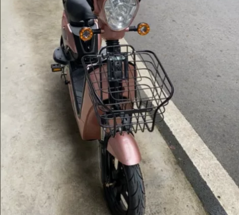 科思康正品品牌电车,主要是买来教老人骑的,...
