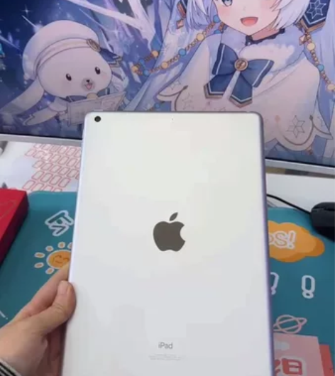 店里用的(AMF3R) 苹果2019款ip...