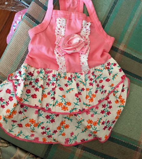 胸围38 小清新宠物衣服狗狗春夏天裙子轻薄...