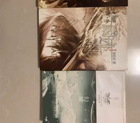 闲置小说 郭敬明 爵迹 幻城 感兴趣的话点...
