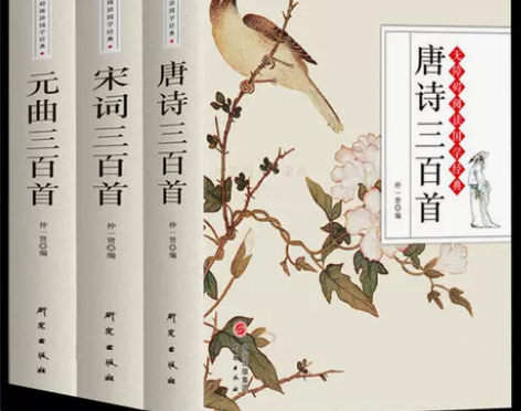 唐诗三百首宋词元曲三百首全集注释 初高中学...