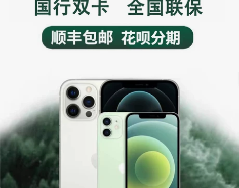 Apple/苹果 iPhone 12 Pr...