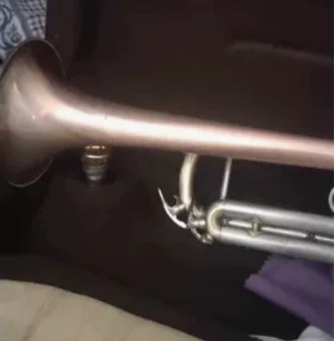 处理一只小号 感兴趣的话点“我想要”和我私...