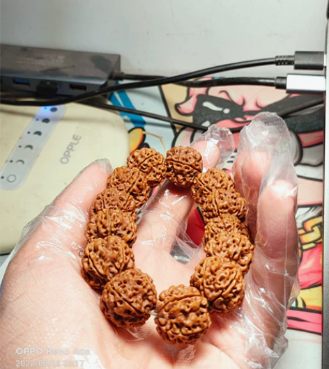 尼泊尔19年纯天然原生态五瓣古龙大金刚 尺...