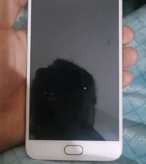 VIVO手机，开不了机，4+64，便宜处理...