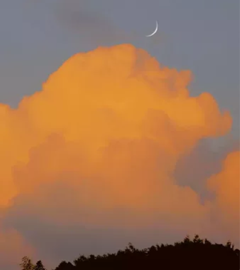 初中高中语文英语历史地理政治 一对一一对多...