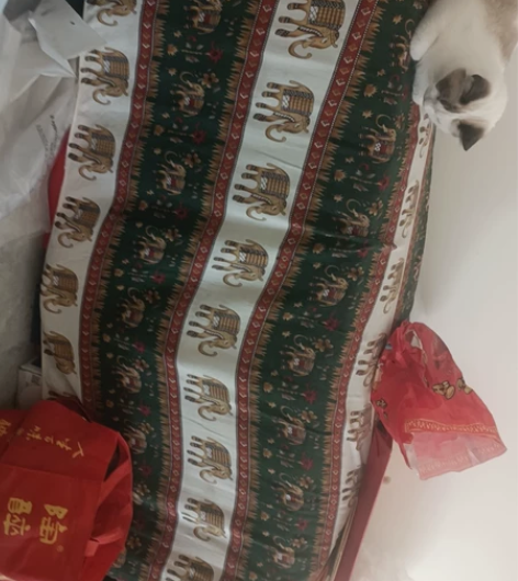 出个不用的古筝，保证是好的，为什么能保证因...