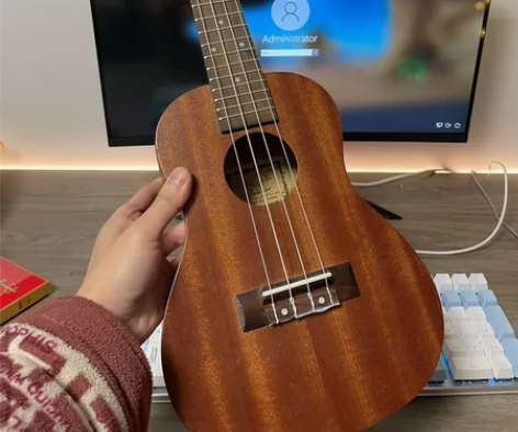 Ukulele尤克里里  23寸桃花木 当...