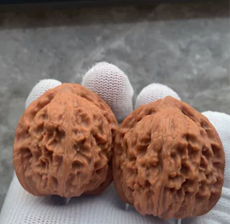 【全品野生小众红狮子】082 [1]标价即...