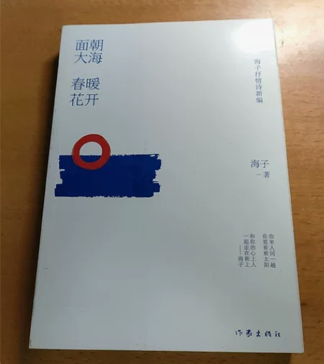 《面朝大海，春暖花开》 原价38.6现在只...