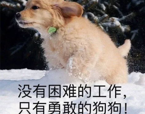 高初中生物问题咨询，线上补习 价格为单个问...