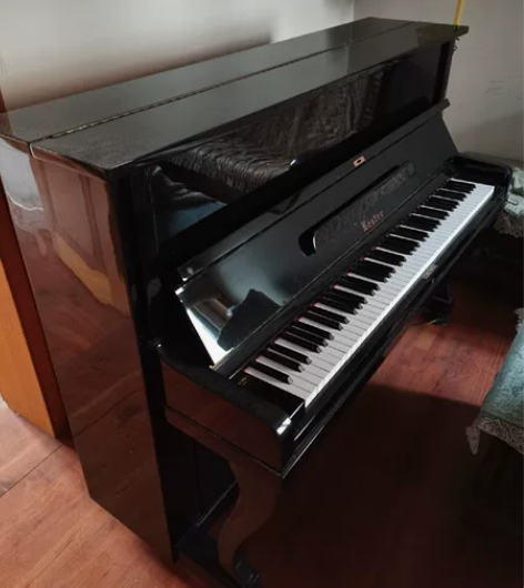 家里搬迁，低价出售莱斯特（LESTER）钢...