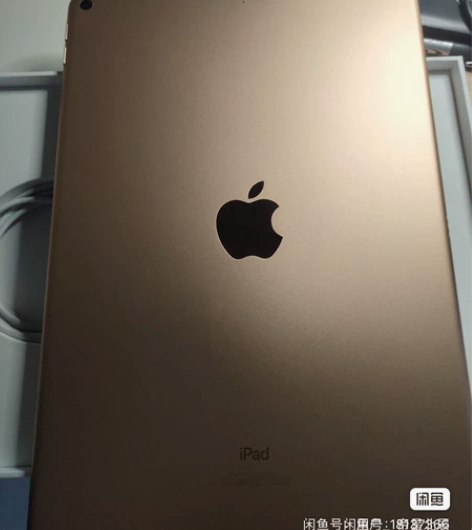 iPad ari3 吃鸡的都懂得 系统13...