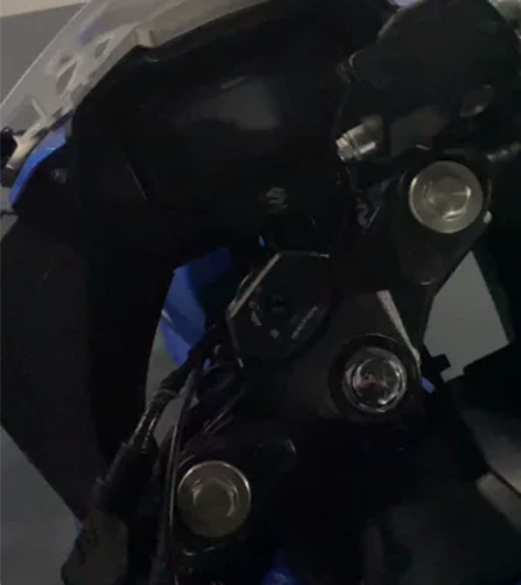Suzuki/铃木gsx250r 小小R ...
