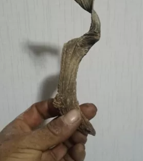 刚到手的精品扭飘 感兴趣的话点“我想要”和...