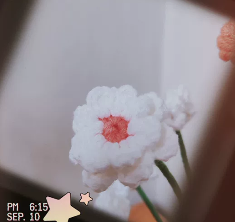 是我喜欢的“故事的小黄花 从出生那年就飘着...